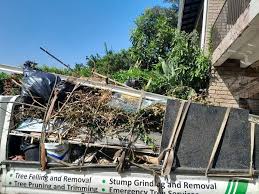 Best Garage Cleanout  in Walhalla, SC